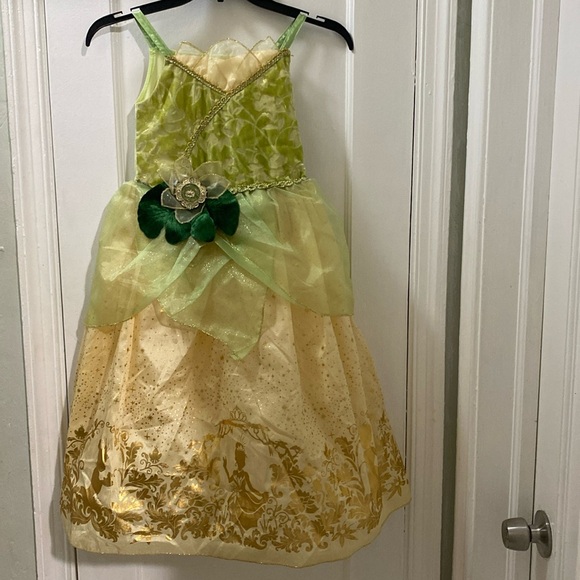 Disney Princess Tiana Dress - Picture 1 of 6